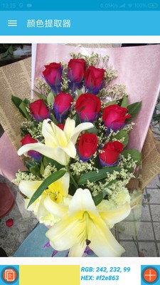 16f5ef3258cce4b9_600_0.jpg