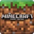 MC国际版1.14(Minecraft)