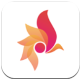 一等app