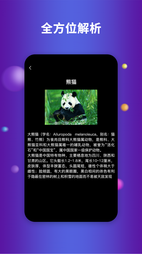 16f5f62bd1b77284_600_0.png