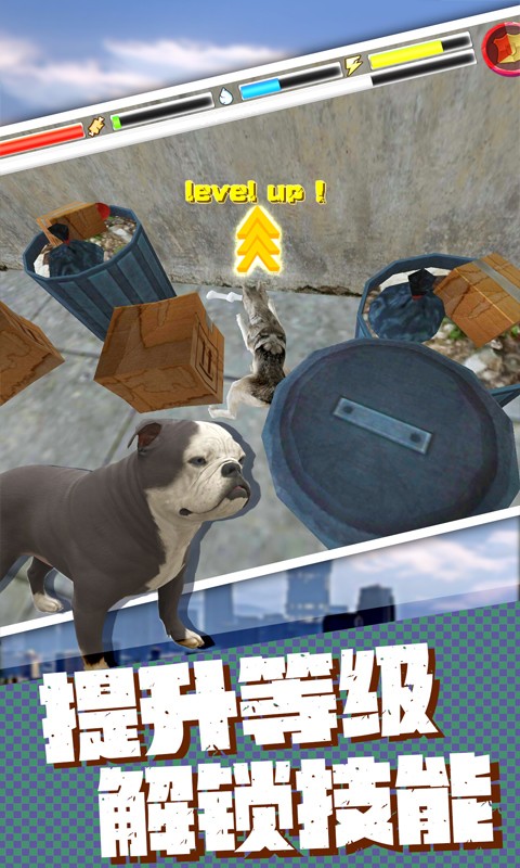 2020120214170866.jpg