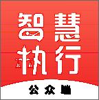 法院智慧执行