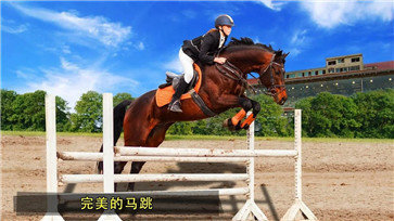 da357e7a-6b68-4850-bd0f-84891a1d08da.jpg