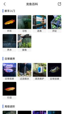 0347da4a0fac0489a81eee7297a52aa28578f7ca6.jpg