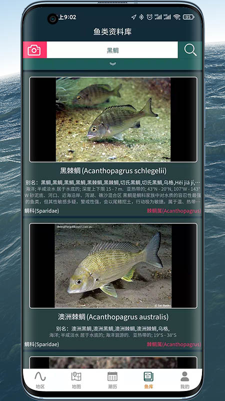 2021070996191047.jpg