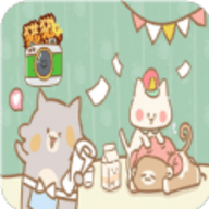 猫猫的店