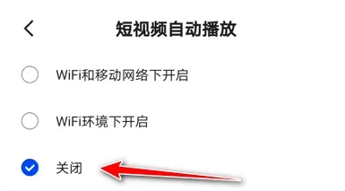 edafb3bcbe2f47704122496d6f3b3b8603217991.webp.jpg