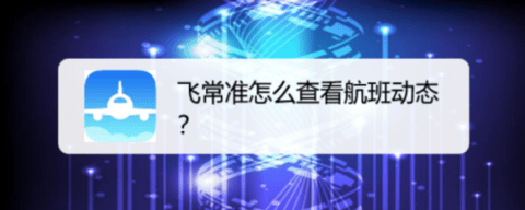 飞常准怎么查航班动态