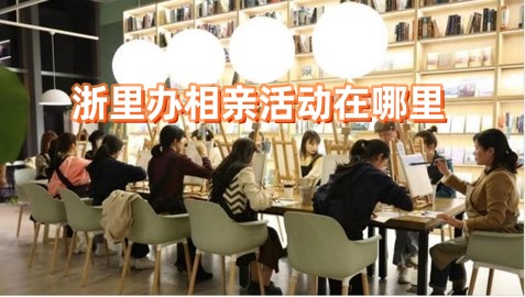 浙里办相亲活动在哪里