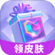 换肤收集大师
