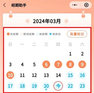 202442495602065.jpg