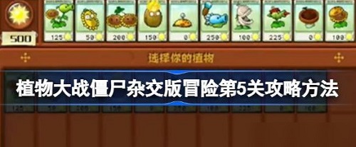 植物大战僵尸杂交版第5关怎么过关