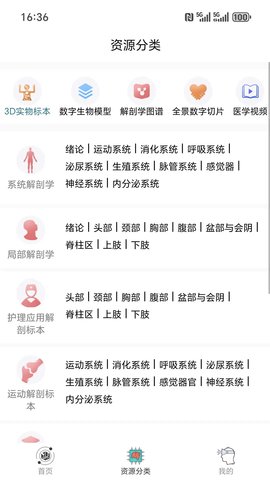 云解剖