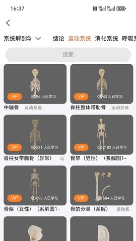 云解剖