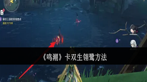 鸣潮怎么卡双生翎鹭