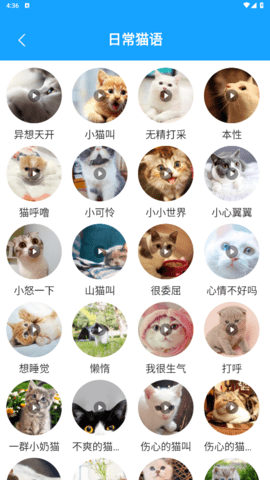 lQLPJxvNjbz-03_NA2HNAeewoBdvml5_CF0G_7-SSOCiAA_487_865.png