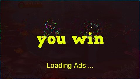 16135505y0s6.jpg