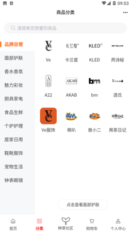 掌门初品正版