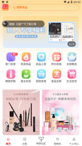 掌门初品正版