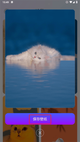 20241115155018_15230.png
