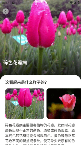 lQLPJxgJfVXRIa3NAmrNAVywszKNKTTBFd8HLH7knU13BQ_348_618.png