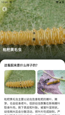 lQLPKHRouJ0poq3NAmrNAVywjVbp4XmvwDQHLH7knU13BA_348_618.png