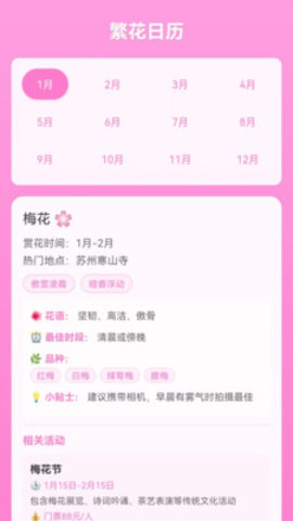 繁花绽放安卓版