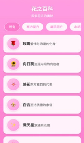 繁花绽放安卓版