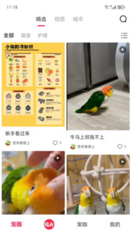爱鸟仁安卓版
