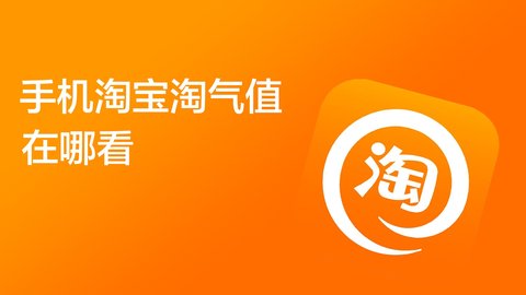 淘宝淘气值在哪里看？ 淘宝淘气值怎么提升？