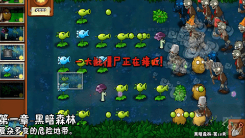 dd37ee8e252640d782c15109cb77a9e420250117TZE5M8.png