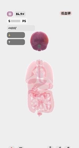 生命人体模拟器(生命life)