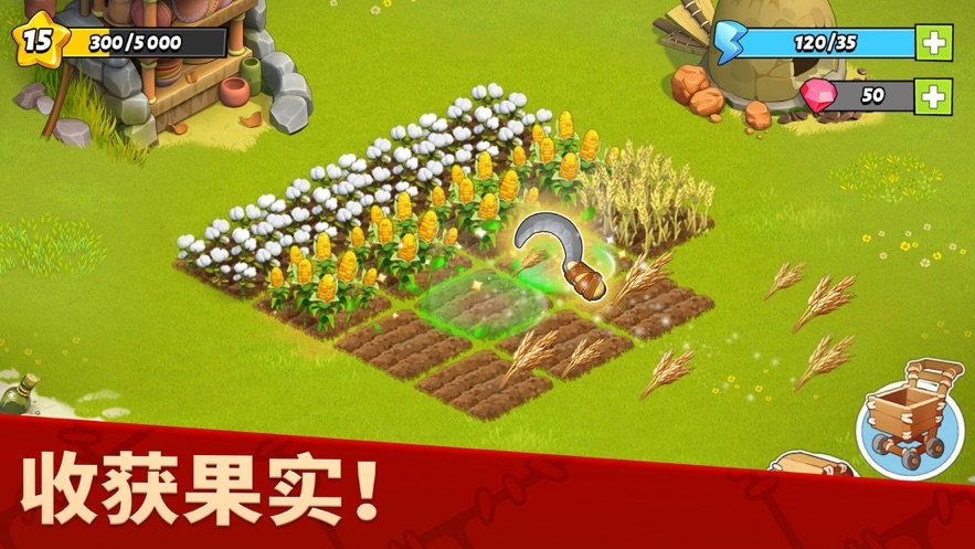 农场岛屿