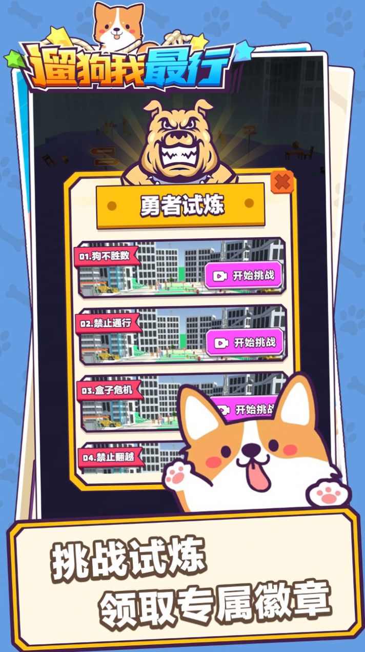 遛狗我最行小游戏官方版图片1
