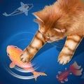 给猫玩的ipad游戏(Cat Toy)